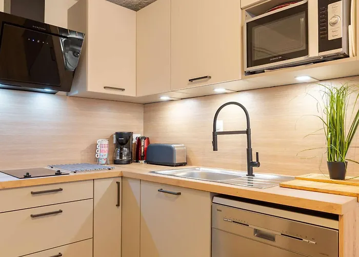 Appartamento 4 Pers, Lary Village, Wifi Inclus - Fr-1-296-152 Saint-Lary-Soulan